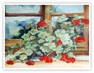 Antonietta Righi Pittrice di Procida